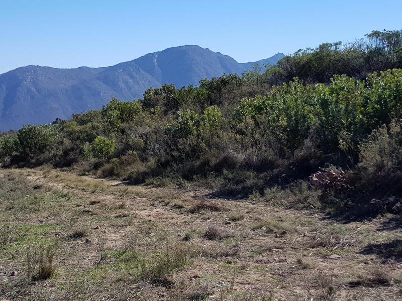 6 Bedroom Property for Sale in Piketberg Rural Western Cape